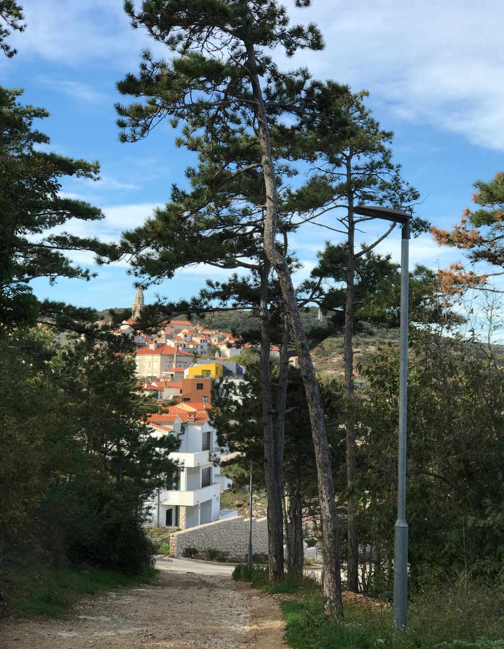 View of Vrbnik through the trees of a pine forest